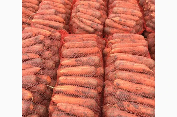 Покупка моркви на постійній основі- фото № 3