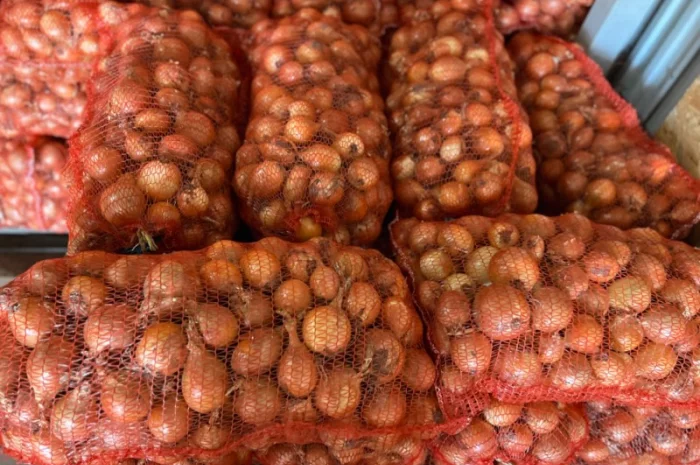 Продаю Цибуля Дайтона Зимова- фото № 2