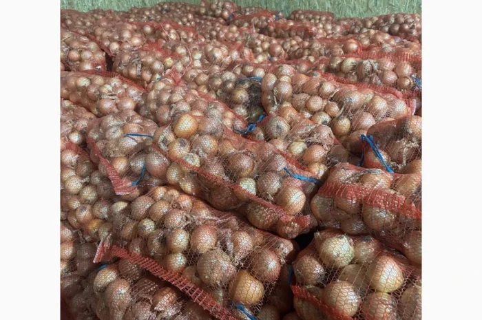 Цибуля на продаж- фото № 1