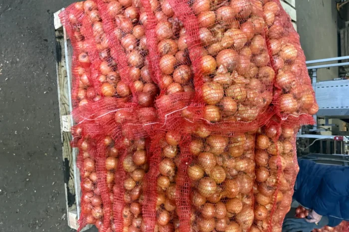 Цибуля 1 гатунок в сітках 20 кг- фото № 1