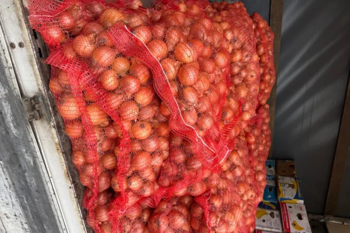 Цибуля 1 гатунок в сітках 20 кг- фото № 2