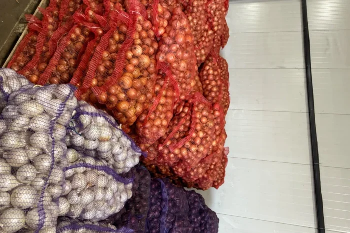 Цибуля 1 гатунок в сітках 20 кг- фото № 3