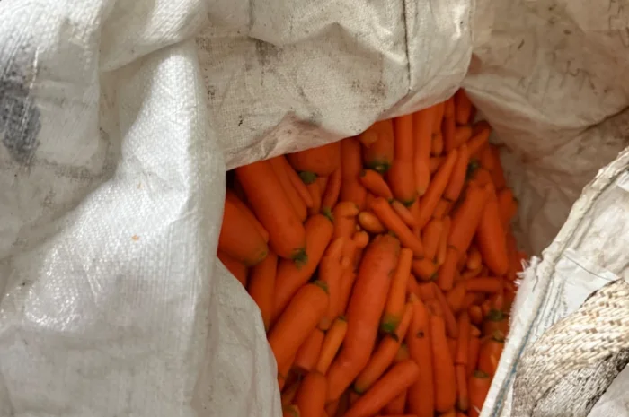 Продаж моркви 3 сорту мита- фото № 1