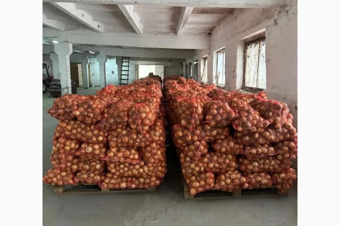 Продажа цибулі "Центуріон"- фото № 1