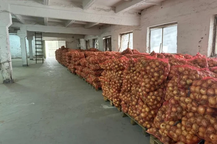 Продажа цибулі "Центуріон"- фото № 2