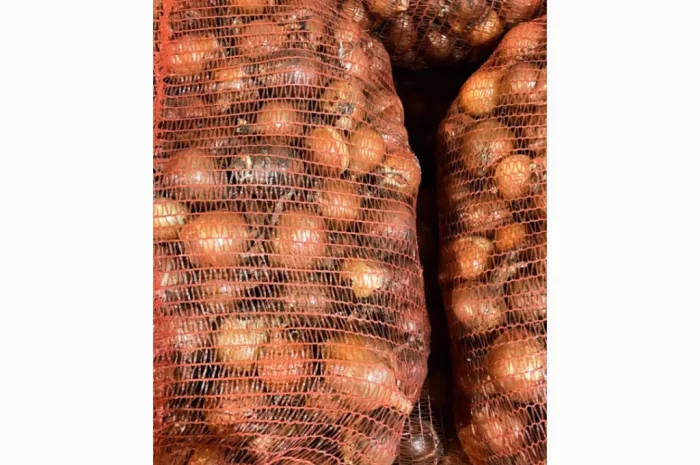 Продаж цибулі сорт Дерек F1- фото № 2