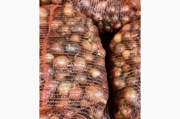 Продаж цибулі сорт Дерек F1- фото № 3