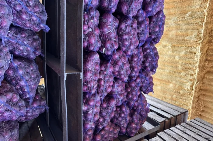 Продаж червоного лука оптом- фото № 1