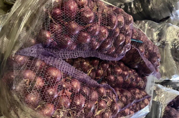 Продаю цибулю синю Марс оптом- фото № 1