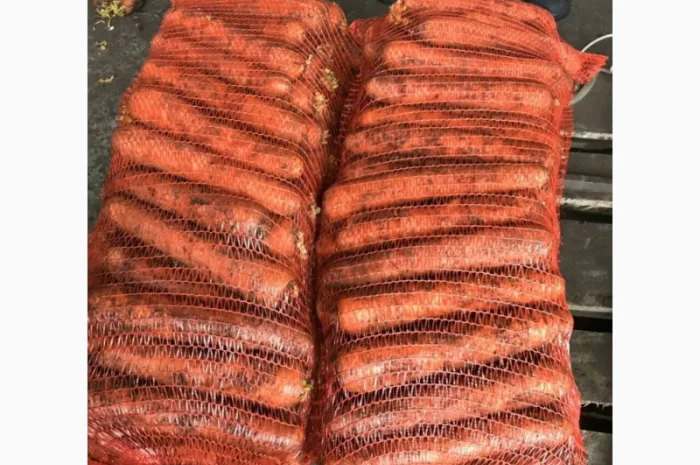 Покупка моркови от украинского поставщика- фото № 1