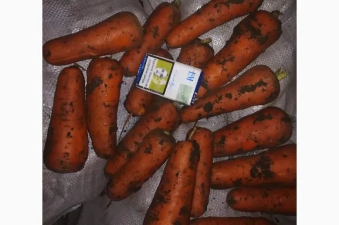 Покупка моркови от украинского поставщика- фото № 2