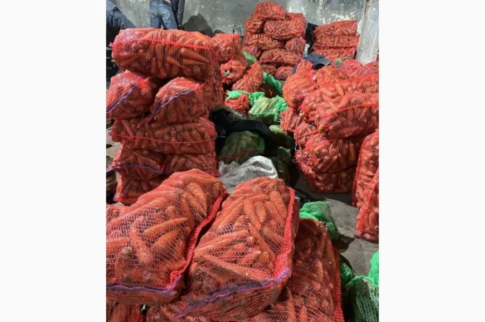 Покупка моркви від постачальника від 10 тонн- фото № 1