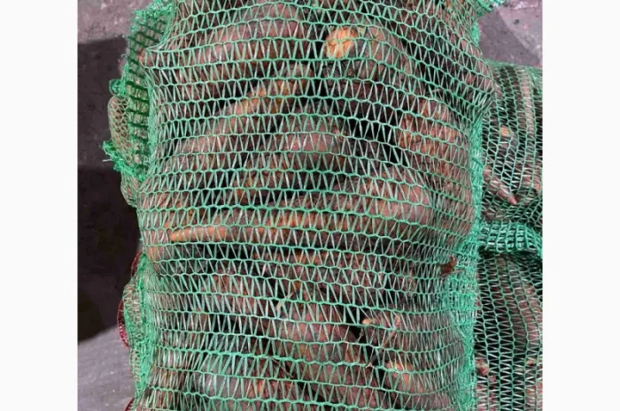 Покупка моркви від постачальника від 10 тонн- фото № 2