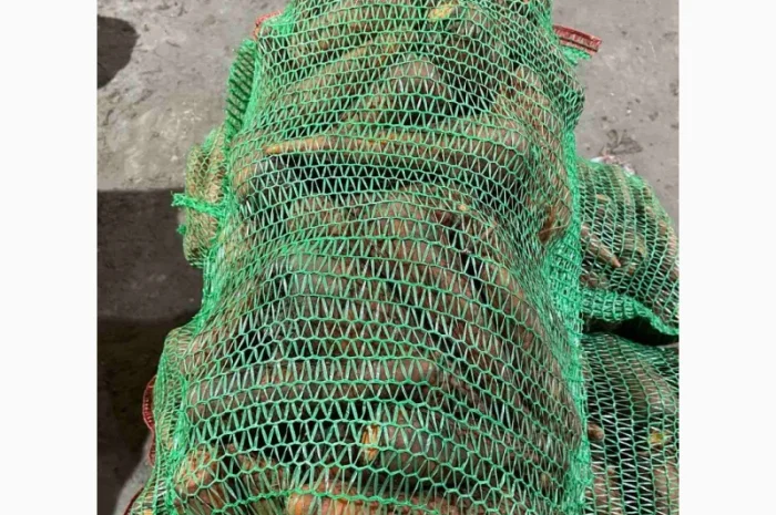 Покупка моркви від постачальника від 10 тонн- фото № 3