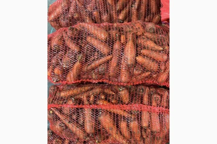 Покупка моркви від постачальника від 10 тонн- фото № 8