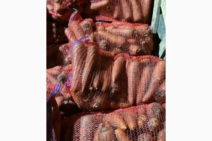 Покупка моркви від постачальника від 10 тонн- фото № 9