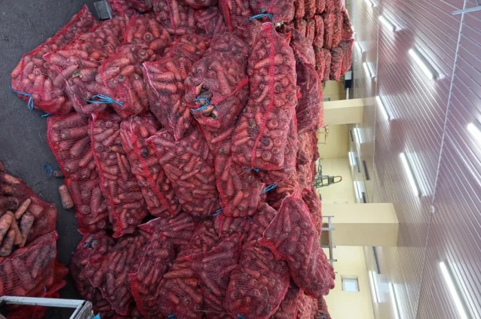 Продаж моркви за вигідною ціною- фото № 1