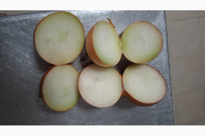 Продаю Моркву Болівар- фото № 5