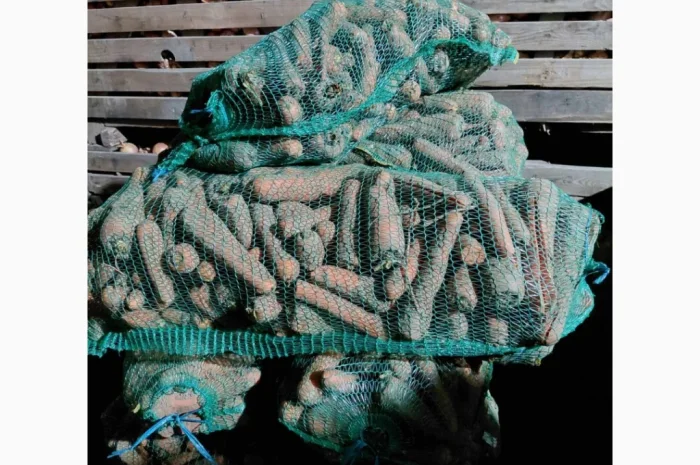 Продаж моркви 2 с, ломана- фото № 2