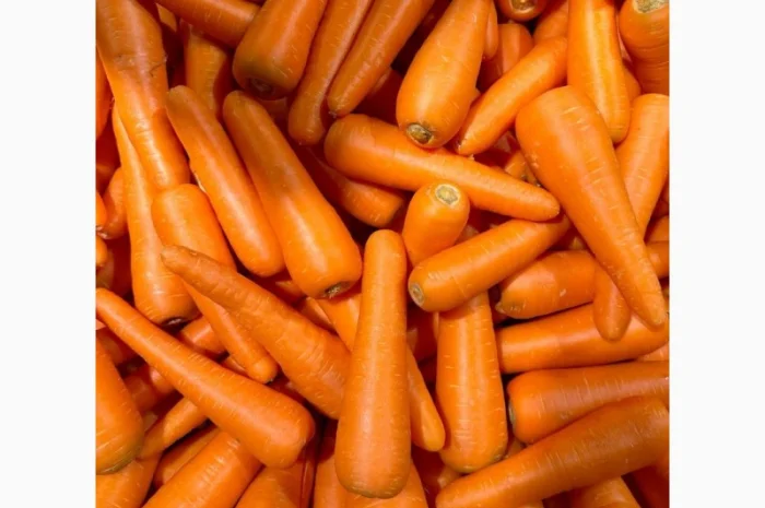Покупка моркви оптом- фото № 1