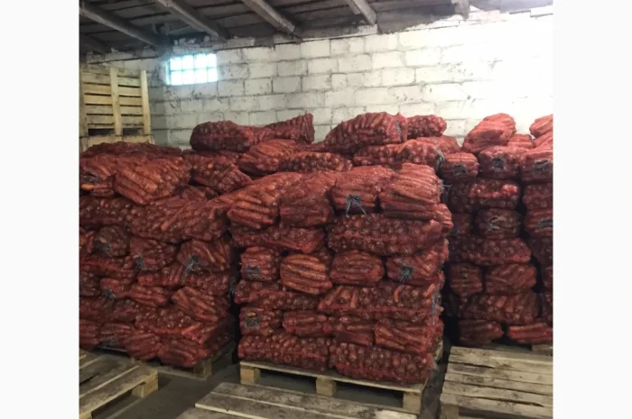 Качественная морковь от 24 тонн от фермера- фото № 1