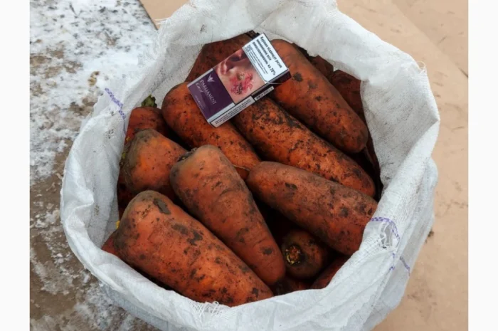 Велика морква 1-го сорту на продаж- фото № 1