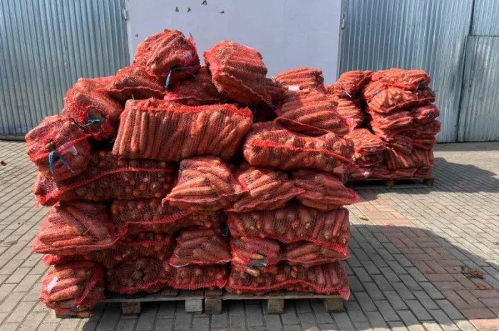 Куплю моркву першого та другого сорту- фото № 1