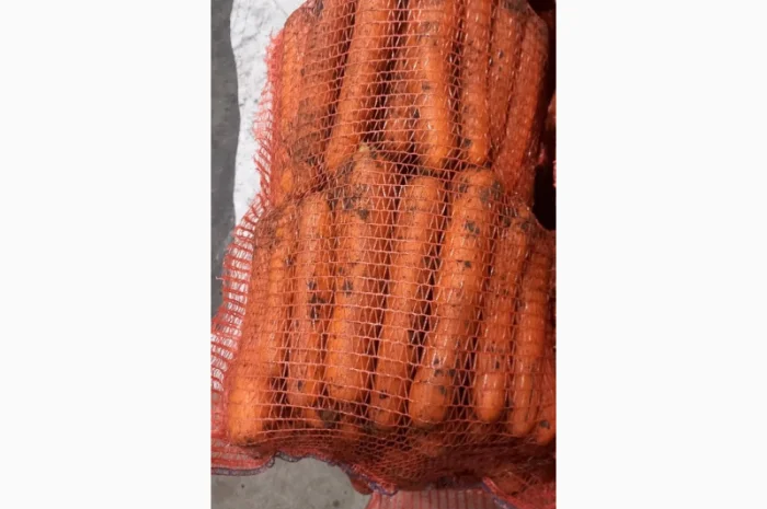 Куплю моркву першого гатунку- фото № 1