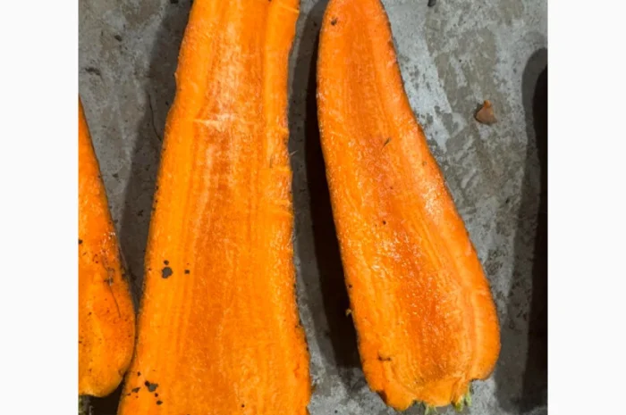Куплю морковь крупную для салатов- фото № 3