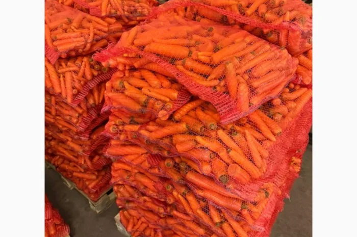 Продаю моркву миту 2 сорту оптом від 10 тонн- фото № 1