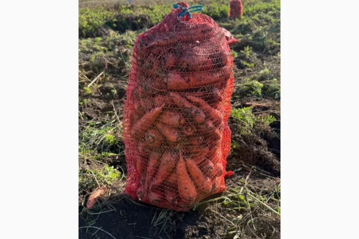 Куплю морковь 2 тонны- фото № 1