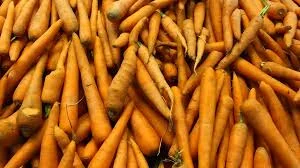 Продаж молодої моркви від виробника у Львові- фото № 1