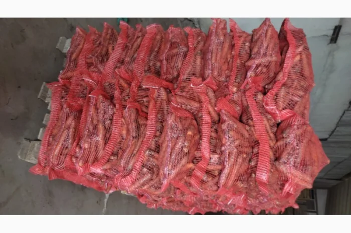 Куплю моркву романс- фото № 1