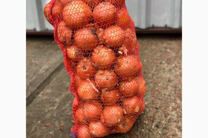 Продається цибуля сорту Дерек- фото № 2