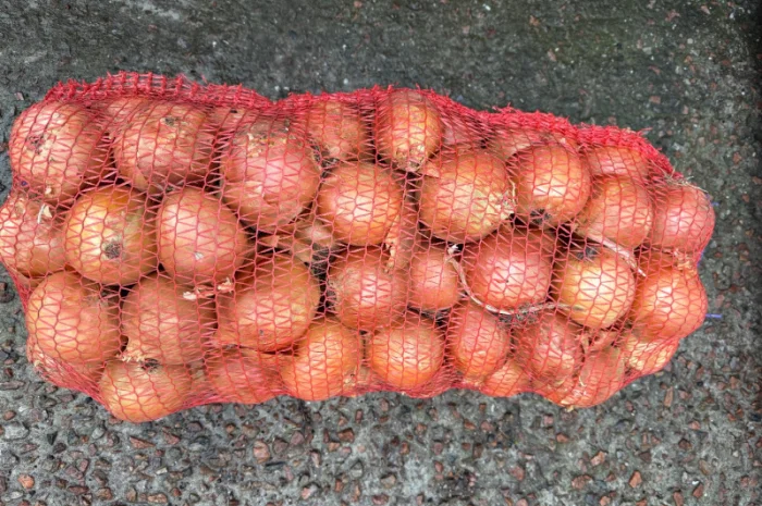 Продається цибуля сорту Дерек- фото № 4