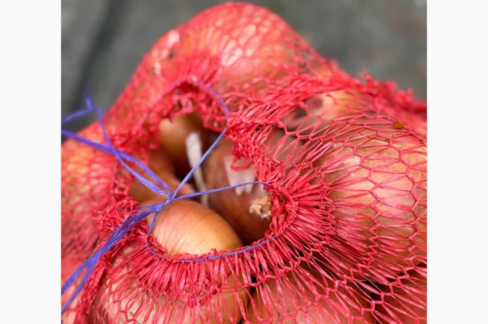 Продається цибуля сорту Дерек- фото № 1