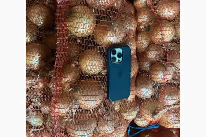 Продаж ріпчастої цибулі- фото № 2