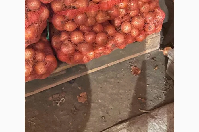 Продаж лука оптом від 10 тонн- фото № 1