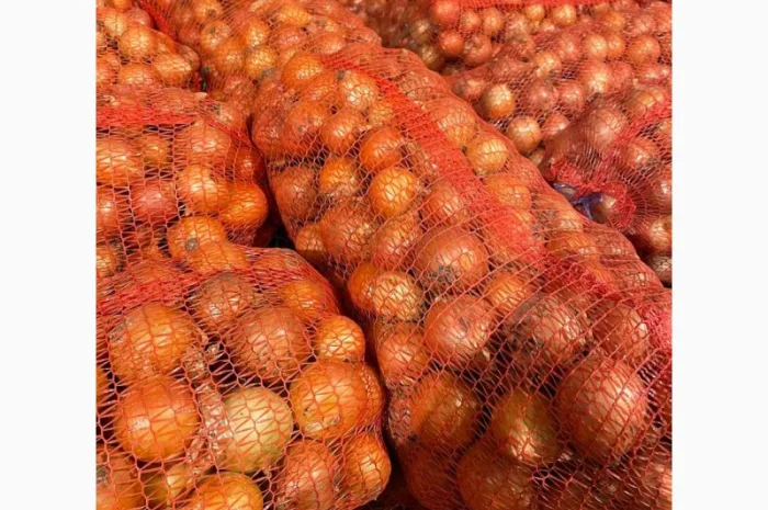 Продаж лука оптом від 10 тонн- фото № 2