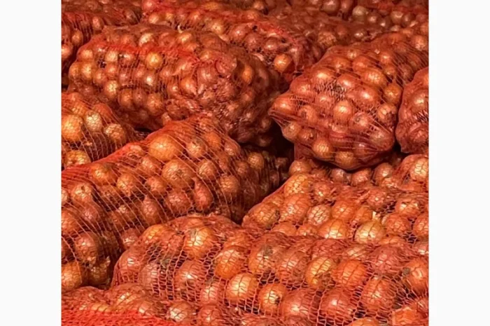 Продаж лука оптом від 10 тонн- фото № 4