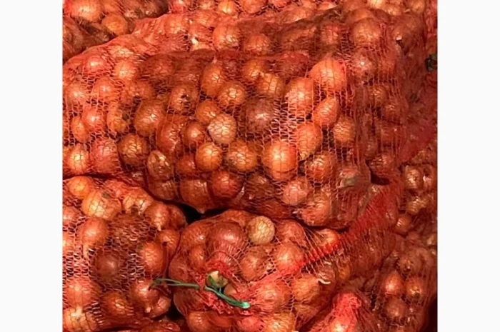 Продаж лука оптом від 10 тонн- фото № 5