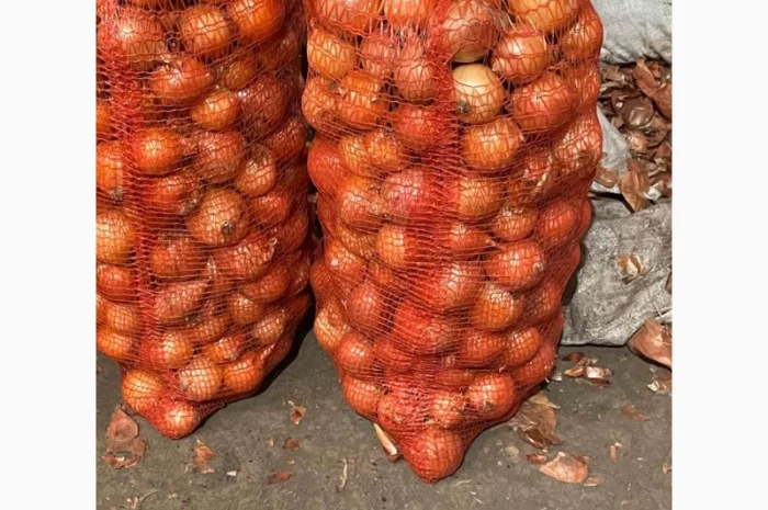 Продаж лука оптом від 10 тонн- фото № 7