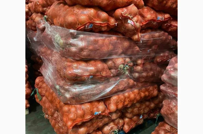 Лук продовольственный від виробника, 10 тонн в наявності- фото № 2