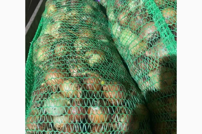 Лук продовольственный від виробника, 10 тонн в наявності- фото № 4