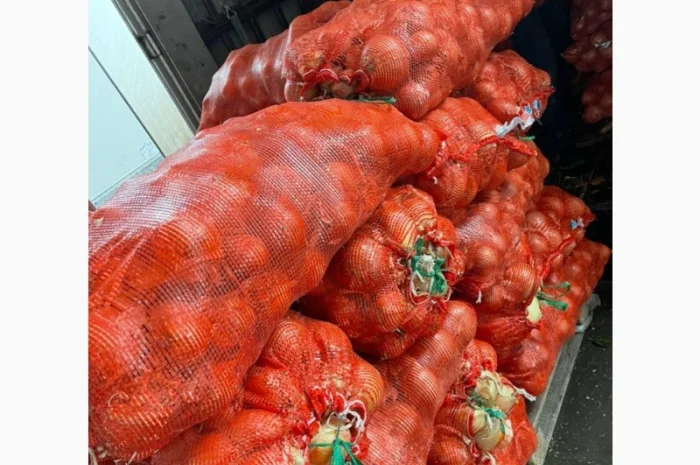 Лук продовольственный від виробника, 10 тонн в наявності- фото № 6