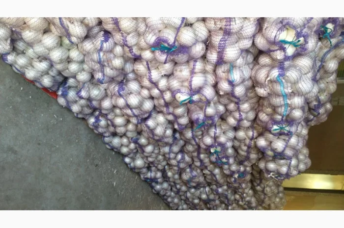 Продажа Лука белого сорта Стерлинг- фото № 3