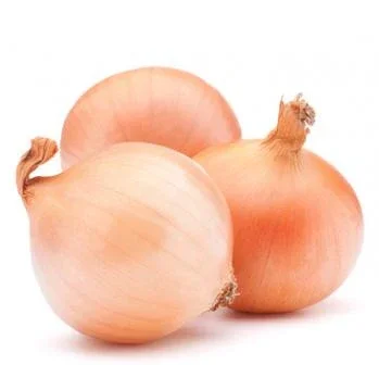 Покупка лука товарного для експорту- фото № 1