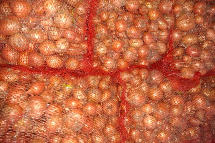 Цибуля на продаж- фото № 2