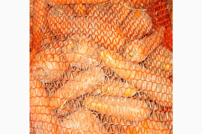 Цибуля на продаж- фото № 4