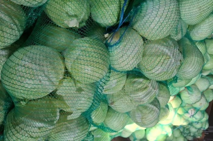 Цибуля на продаж- фото № 7